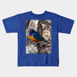 Stunning Blue and Orange Starling Bird of Africa Kids T-Shirt